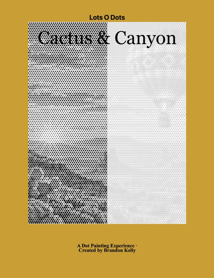 Cactus & Canyon dot painting book cover